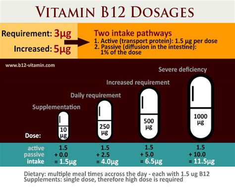 Vitamin B12 - An Overview