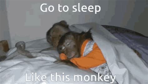 Go To Sleep Sleepy Monkey GIF - Go To Sleep Sleepy Monkey Sleep ...