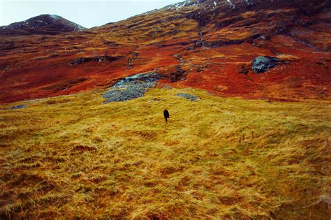 One Photographer’s Vibrant, Color-Saturated Landscapes - The New York Times