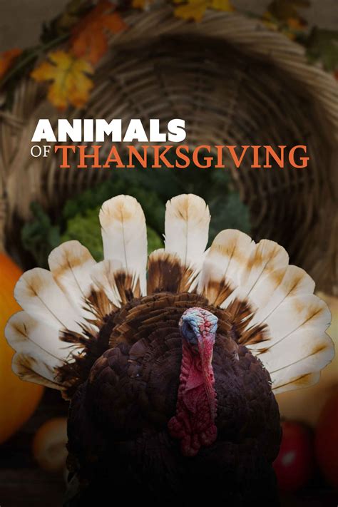 Animals of Thanksgiving - Where to Watch and Stream - TV Guide