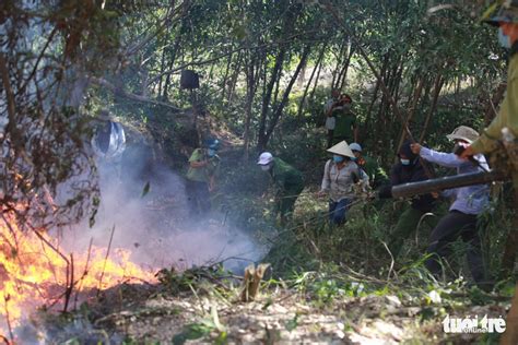 Central Vietnamese province tackles large forest fires | Tuoi Tre News