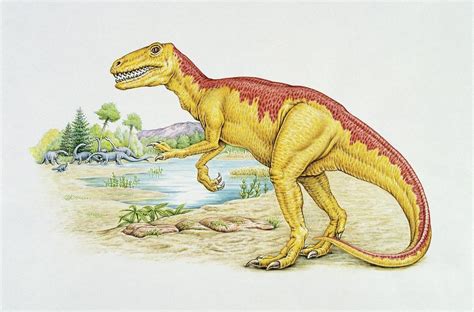 Gasosaurus Photograph by Deagostini/uig/science Photo Library