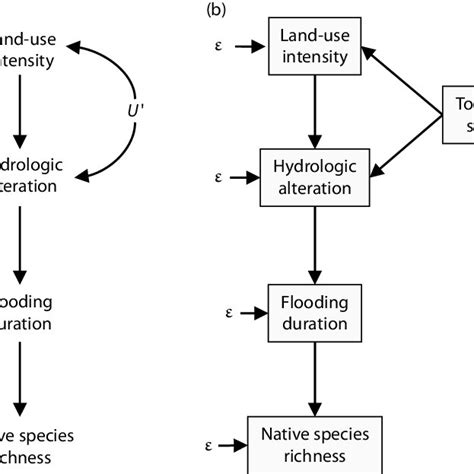 2 (a) Simple causal diagram representing the hypothesis that there is a... | Download Scientific ...