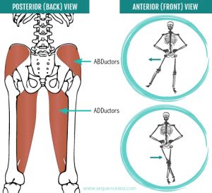 Neglecting Your Hip Abductors and Adductors Can Mess Up Your Walk ...