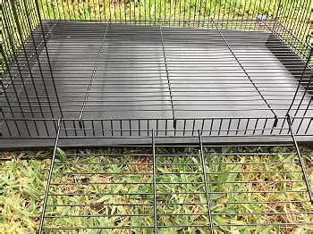 Best 6 Black Hamster Cages To Choose From In 2022 Reviews