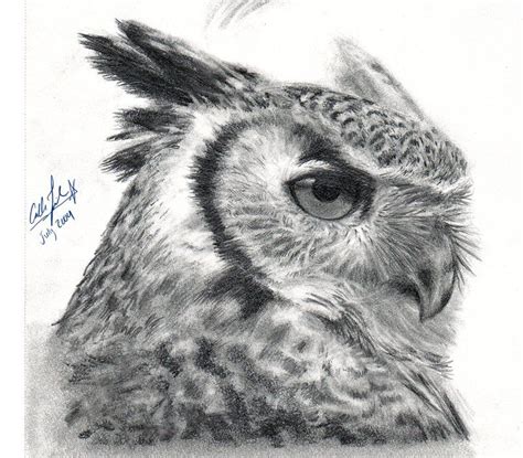 I wanted to draw a realistic owl. I also want to practice more on ...