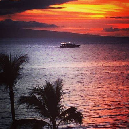 Lahaina Cruise Company - Maui Princess Sunset Dinner Cruise - All You ...