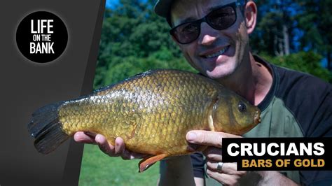 CRUCIAN CARP FISHING | Float and Feeder - YouTube