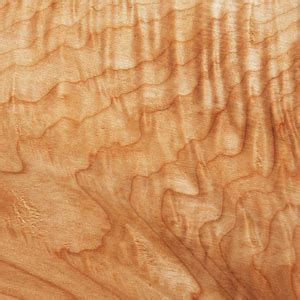 Rustic Carvings & Creations: Wood Grain Wednesday - Curly Maple