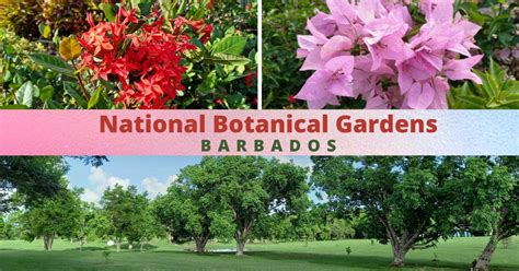 Barbados National Botanical Gardens