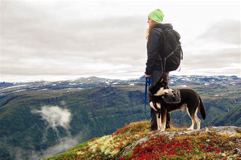 How to Train Your Dog for Hiking | GearJunkie