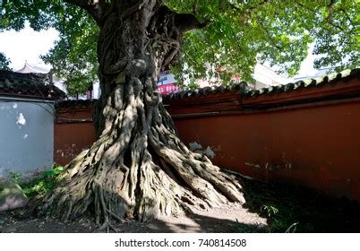 22 imágenes de Meishan temple - Imágenes, fotos y vectores de stock | Shutterstock