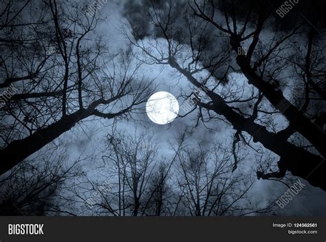 Night Mysterious Landscape Cold Image & Photo | Bigstock