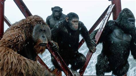 Disney trabaja en una nueva cinta de la saga “The Planet of the Apes” | Disney, Planeta de los ...