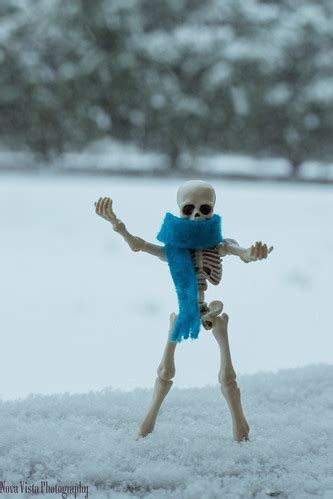 Skeleton Snow Fun | It snowed a few weeks ago & I took photo… | Flickr