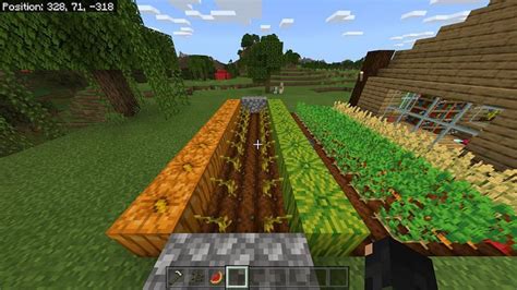 Melon Seeds Minecraft