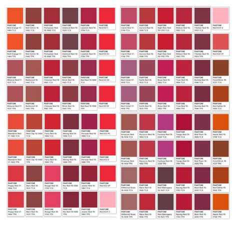 Great Blood Red Pantone Color Living Coral Makeup