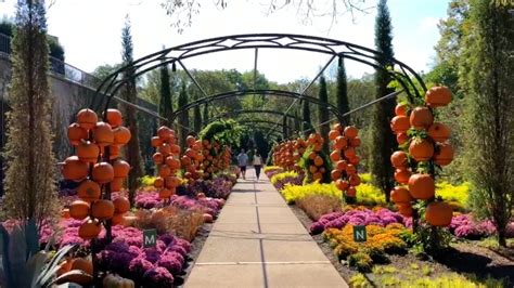 Cheekwood Gardens Fall Pumpkins 2018 - Nashville, TN - YouTube