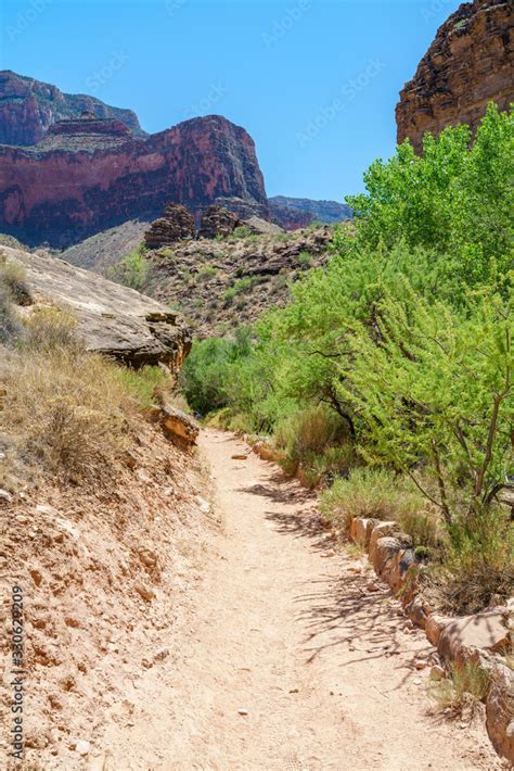 hiking through indian garden on bright angel trail in grand canyon national park, arizona, usa ...