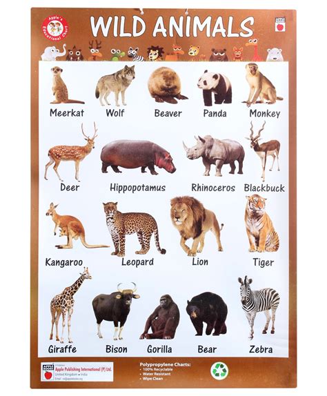 wild animals with names