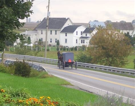 The 12 Largest Amish Communities (2017) - Amish America