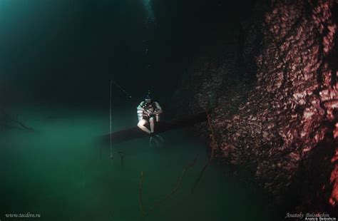 Underwater River Is A Scuba Diver's Dream -- Cenote Angelita, Mexico | HuffPost