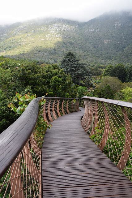 Kirstenbosch Gardens Bridge | Fasci Garden