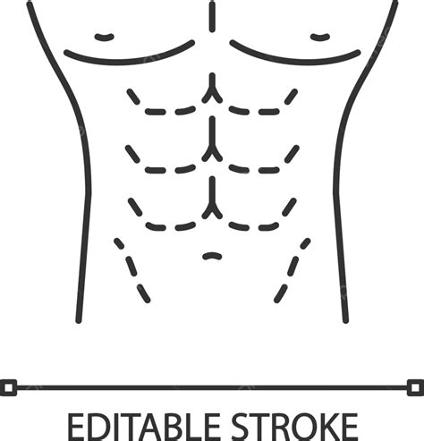 Male Body Contouring Surgery Linear Icon Plastic Surgery Illustration Beauty Vector, Plastic ...