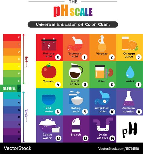 Ph scale universal indicator ph color chart Vector Image