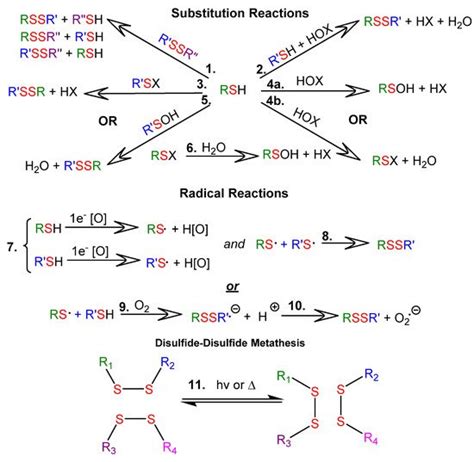 Thiol-and Disulfide-Based Stimulus-Responsive Soft Materials ...
