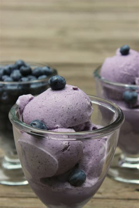 Homemade Blueberry Ice Cream