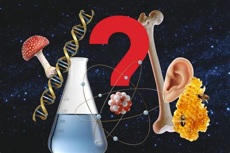 50 Science Trivia Questions People Always Get Wrong (With Answers)