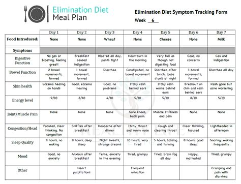 Printable Elimination Diet Meal Plan Pdf - Fillable Form 2024