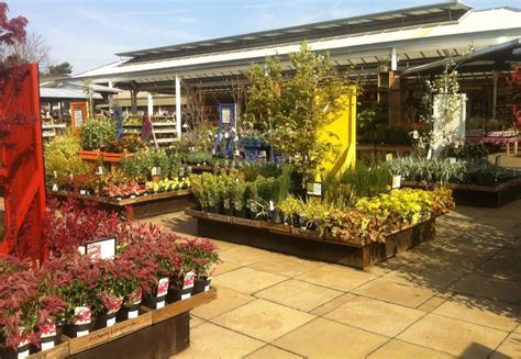 Squire’s Garden Centre - Nurseries & Gardening - Sixth Cross Road, Fulwell, Middlesex, London ...