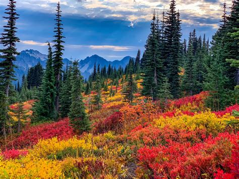 10 Seattle-area hikes for seeing beautiful fall colors - Curbed Seattle
