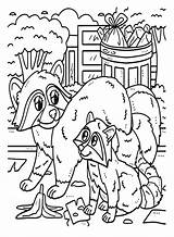 33 Raccoon Coloring Pages  Free & Printable For Kids And Adults sketch template