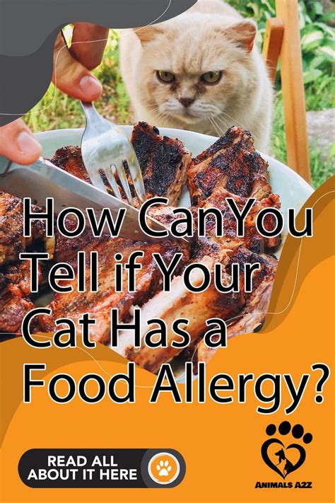 How Can You Tell if Your Cat Has a Food Allergy? | Food allergies, Best cat food, Cat food allergy