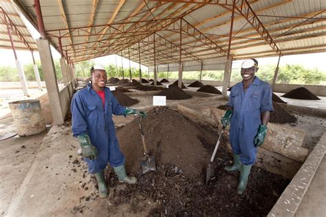 Jekora Ventures Limited | After the flush: How a project in Ghana is turning human waste into an ...