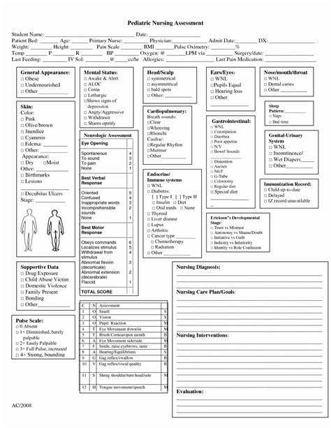 Head To Toe Nursing Report Sheet | Images and Photos finder