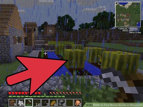 3 Ways to Find Melon Seeds in Minecraft - wikiHow