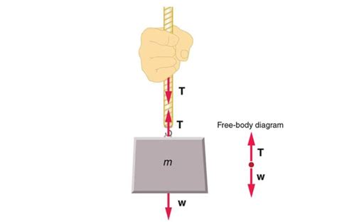 Tension Vs Compression | What Is Tension & Compression