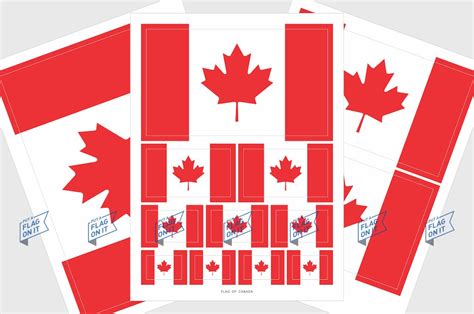 Canada Flag Sticker, Weatherproof Vinyl Flag Stickers - Etsy