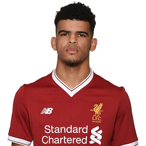 Dominic Solanke Player Profile and his journey to Livepool FC |Liverpool Core