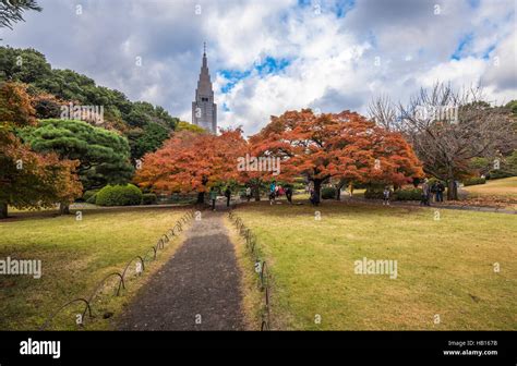 Shinjuku Gyoen Park in autumn, Tokyo, Japan Stock Photo - Alamy