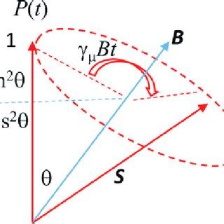 The spin rotation in a zero field. The decomposition of the muon... | Download Scientific Diagram