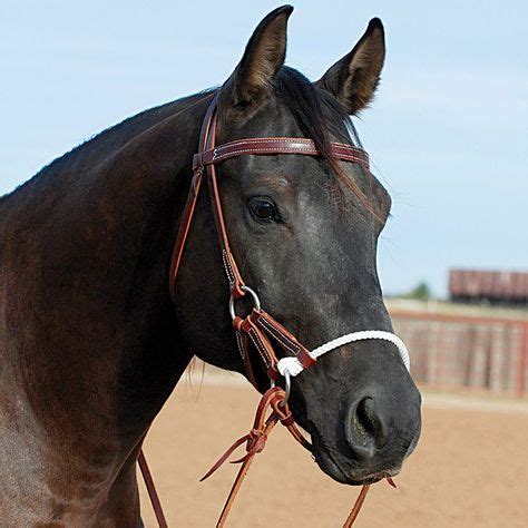 150 WESTERN BRIDLE ideas | western bridles, horse tack, horse gear