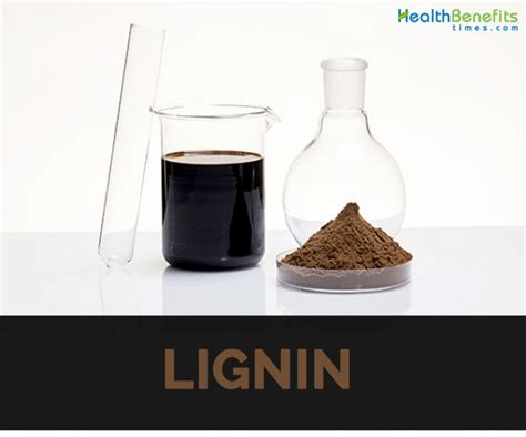 Lignin Facts and Sources | Nutrition