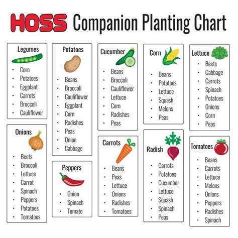 Hoss Tools on Instagram: "🌱Let's Grow Together! A great way to maximize space in your garden is ...