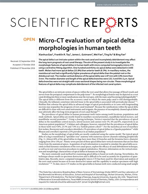 (PDF) Micro-CT evaluation of apical delta morphologies in human teeth