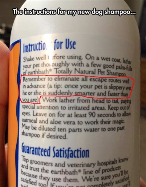 Pet Shampoo Instructions